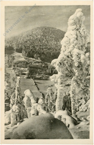 lausche, winter lausche, winter