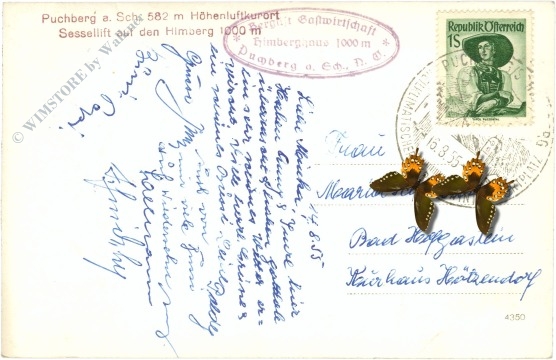 puchberg am schneeberg, sessellift auf den himberg