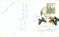 tauchen, berghotel ocherbauer