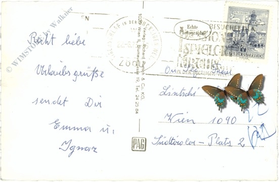 kirchschlag in der buckligen welt, mit burgruine