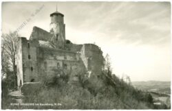 kaumberg, ruine araburg