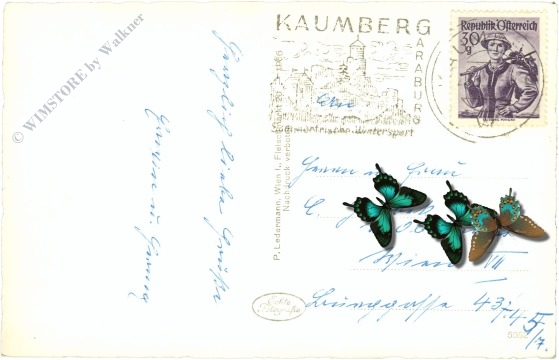 kaumberg, ruine araburg