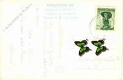 kirchberg am wechsel, kampsteiner schwaig