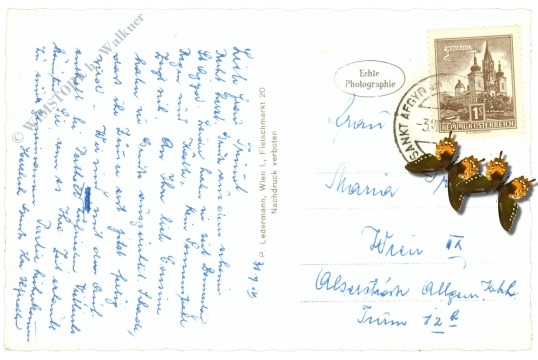 kernhof, partie mit gippel