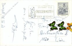 mariazell, mit hochschwab