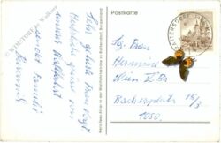 rattersdorf, herz jesu altar in der wallfahrtskirche