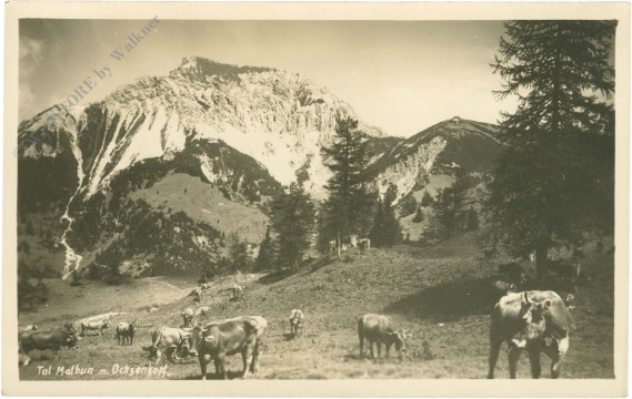 malbun tal, mit ochsenkopf malbun tal, mit ochsenkopf