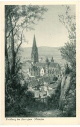 freiburg, münster