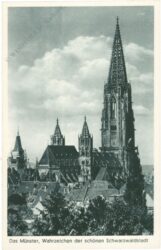 freiburg, das münster freiburg, das münster