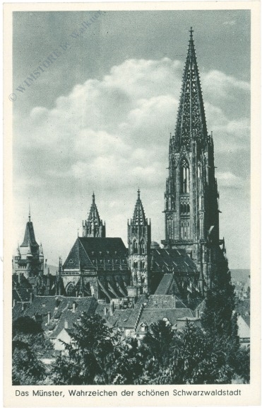 freiburg, das münster