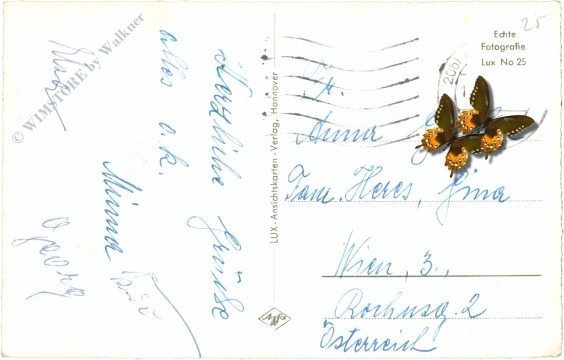 northeim, multiansicht