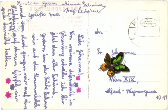 haus im ennstal, krummholzhütte mit dachstein