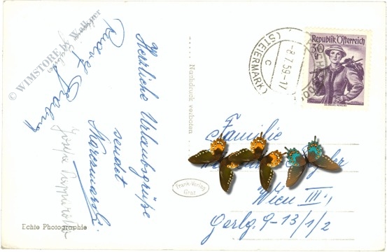 pischelsdorf, ortsansicht