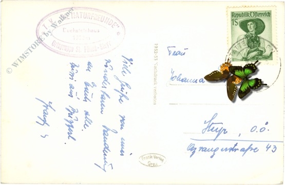 gesäuse, buchensteinhaus