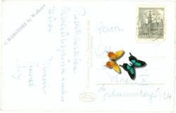 st. jakob im walde, ansicht