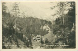 fölz, alpenwirtschaft zu schwabenbartl