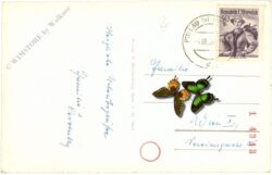 pöllau, ortsansicht