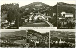 waldbach, multiansicht
