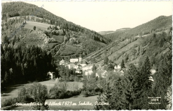 waldbach, ortsansicht waldbach, ortsansicht