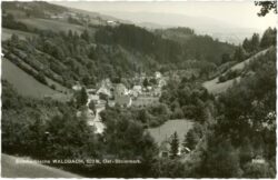 waldbach, ortsansicht