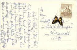 st. johann bei herberstein, schloss herberstein