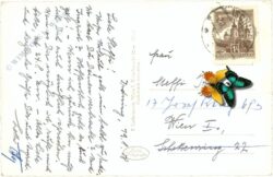 irdning, mit grimming