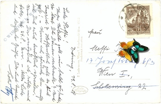 irdning, mit grimming