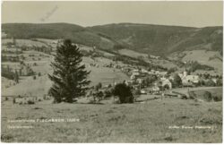 fischbach, ansicht