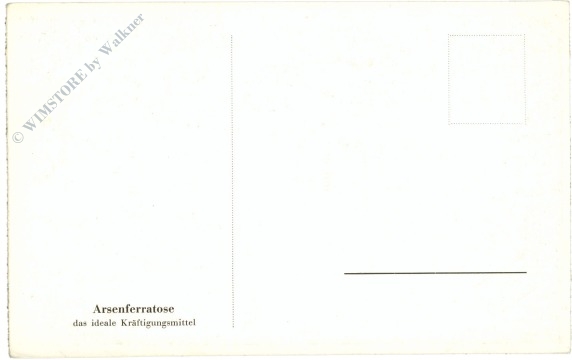 halle, universitätsstadt