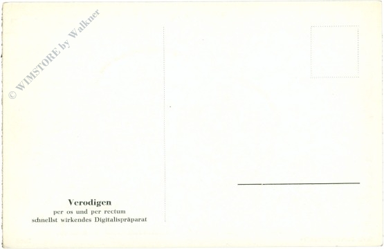 bonn, universitätsstadt