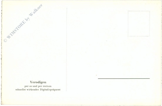 giessen, universitätsstadt