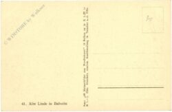 babutin, alte linde