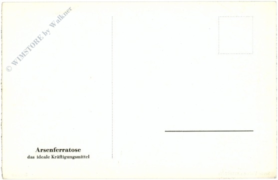 breslau, universtitätsstadt