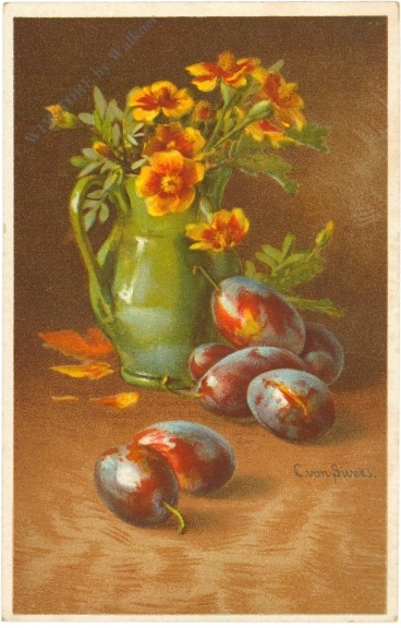 zwetschken zwetschken