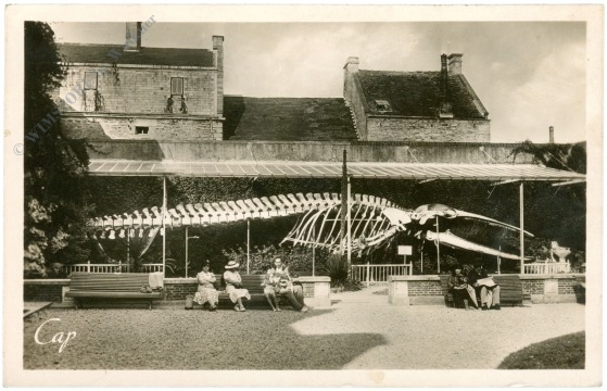 luc sur mer, ansicht