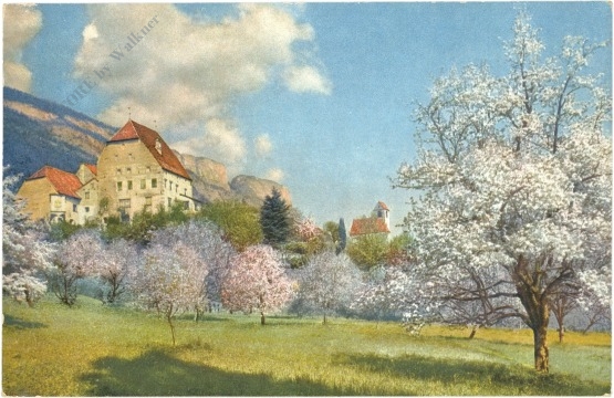 tirol, obstblüte