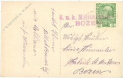 neujahr, kinder und zweig