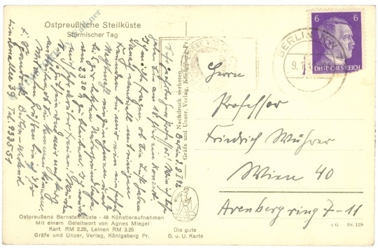 ostpreussische bernsteinküste, steilküste, stürmischer tag