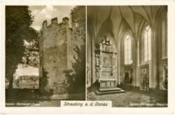 straubing an der donau, multiansicht