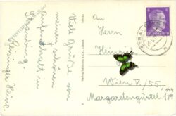 straubing an der donau, multiansicht