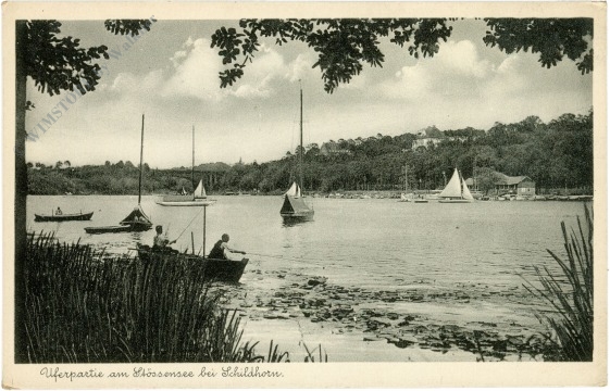 schildhorn, uferpartie am stössensee schildhorn, uferpartie am stössensee