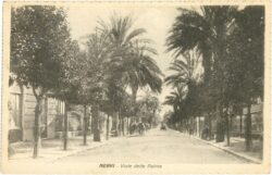 genua, nervi, viale delle palme