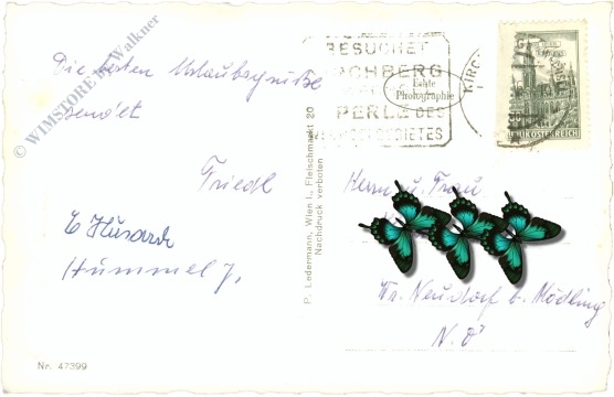 st. corona am wechsel, multiansicht