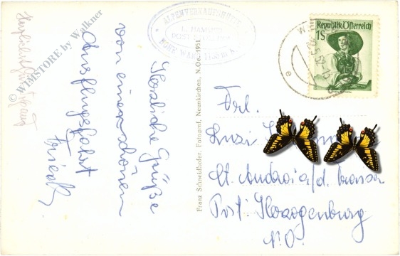 hohe wand, völlerin