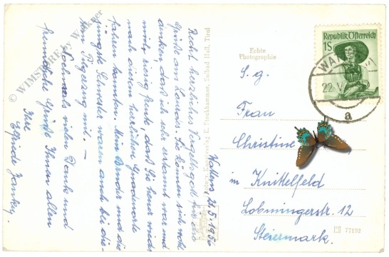 wattens, mit hochnißl