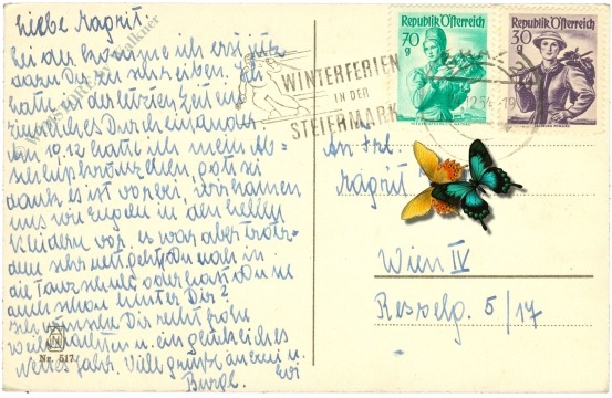 weihnachten, tannenzweige und christrosen