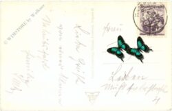 innsbruck, gold. dachl mit platzbrünnl