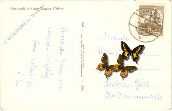 mariazell, mit tonion