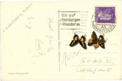 leipzig, das gohliser schlößchen