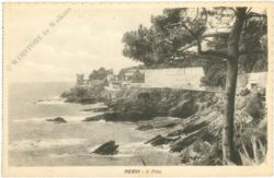 genua, nervi, il pino